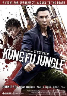 Kung Fu Jungle (2014)