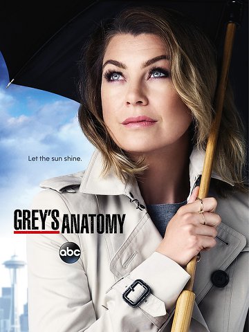 Grey’s Anatomy Season 12