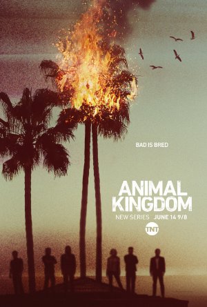 Animal Kingdom Season 01