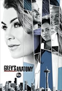 Grey’s Anatomy Season 14