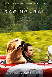 The Art of Racing in the Rain (2019)