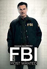 FBI: Most Wanted Season 01