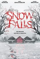 Snow Falls (2023)