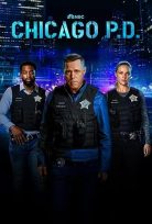 Chicago P.D. Season 12 | Episode 01-03